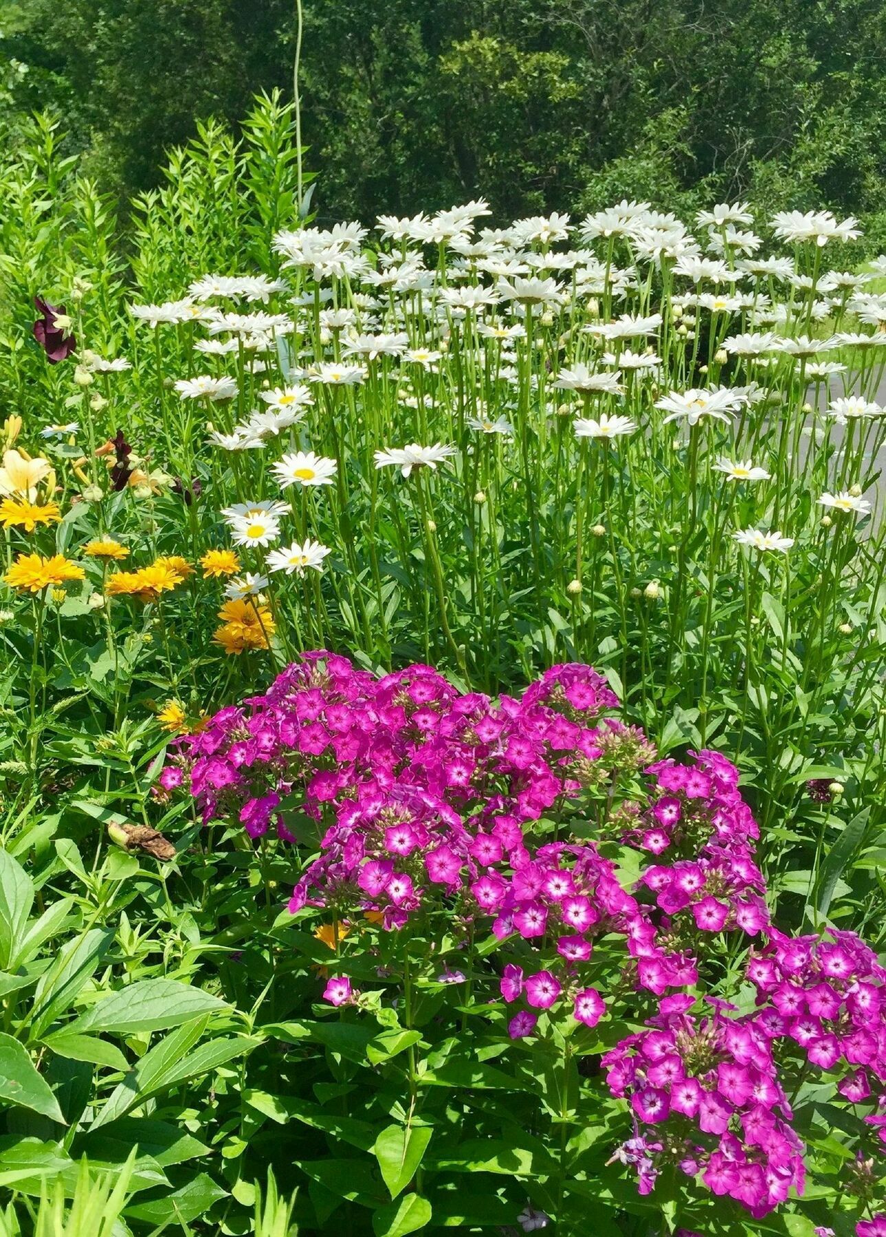 Manor House Bed & Breakfast Norfolk 외부 사진